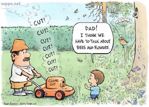 CLEAR CUT